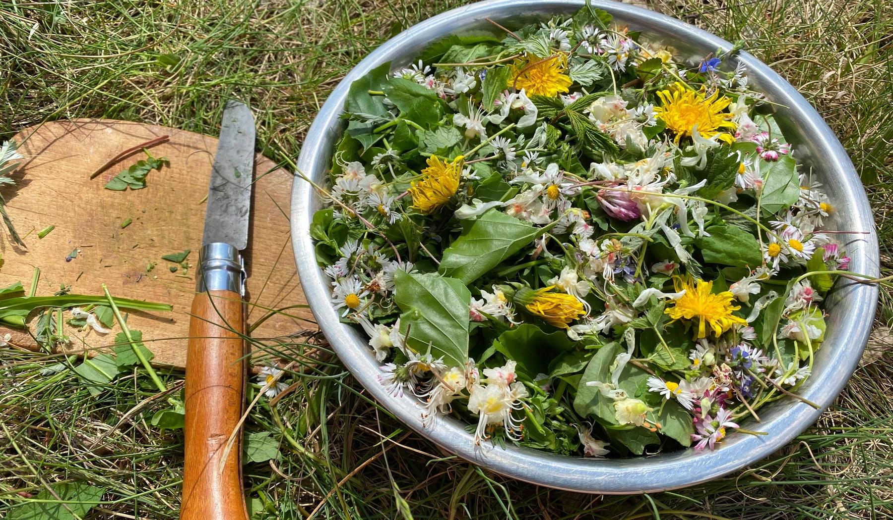 Wildkräutersalt in der Natur mit Löwenzahn, Gänseblümchen und anderen Kräuter, daneben ein Messer und Schneidebrett