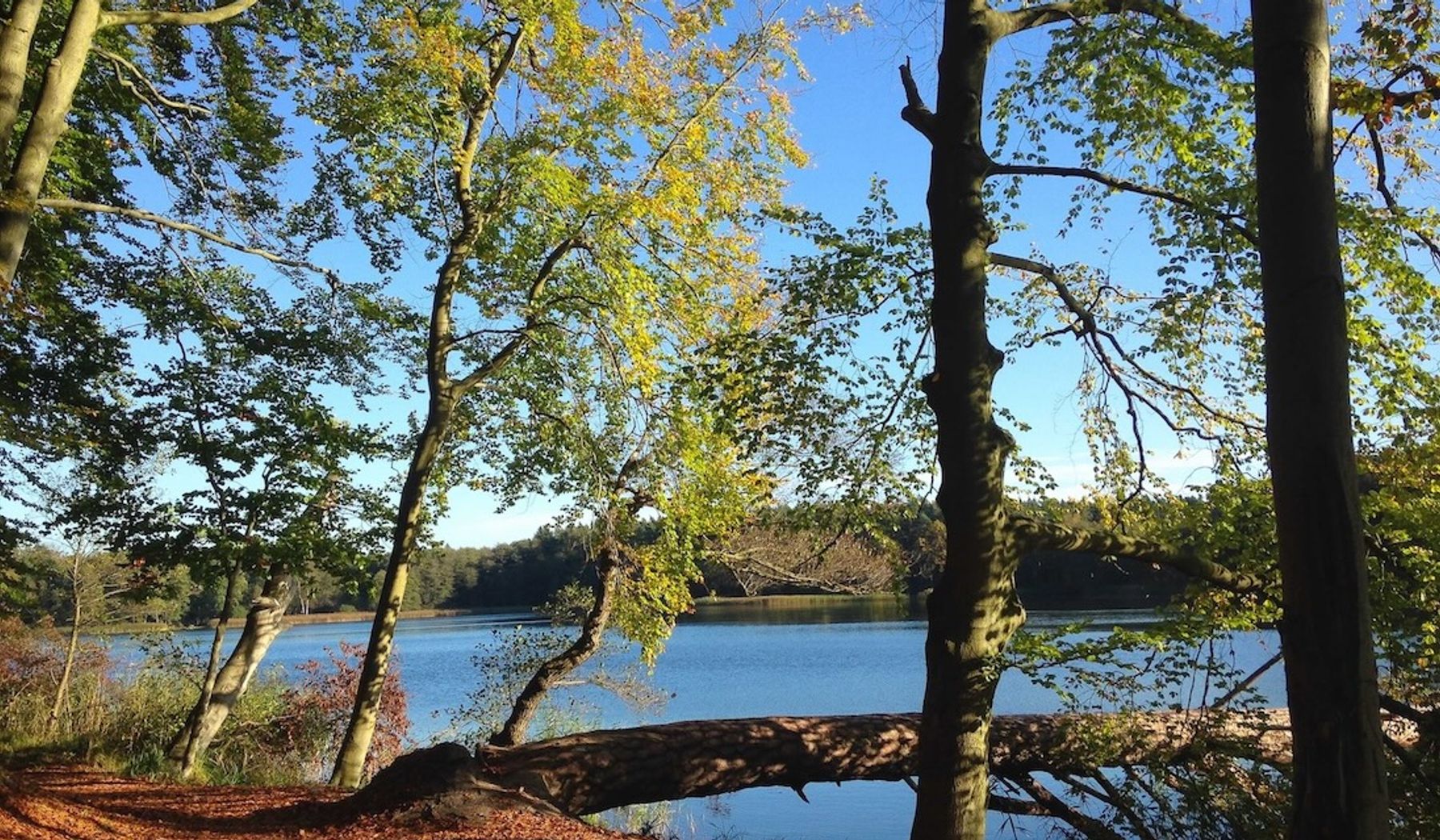 Hellsee-Biesenthal im Herbst