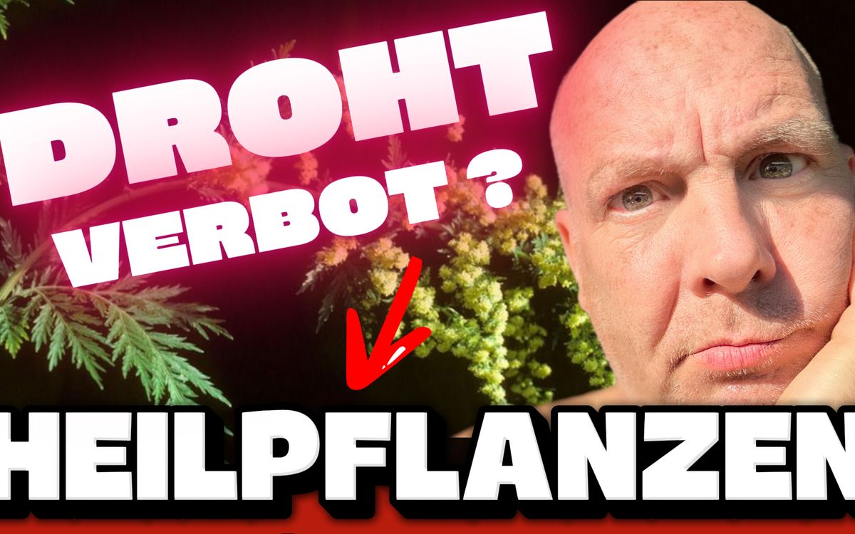 Titelbild mit George Brasch neben verschiedenen Heilpflanzen und der Aufschrift „Droht Verbot? Heilpflanzen“. Das Motiv verweist auf mögliche Einschränkungen bei TCM, Heilpflanzen und Heilpilzen.