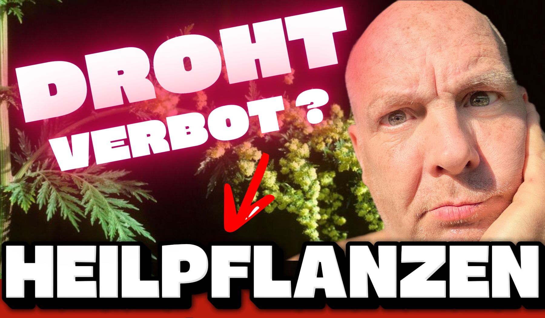 Titelbild mit George Brasch neben verschiedenen Heilpflanzen und der Aufschrift „Droht Verbot? Heilpflanzen“. Das Motiv verweist auf mögliche Einschränkungen bei TCM, Heilpflanzen und Heilpilzen.