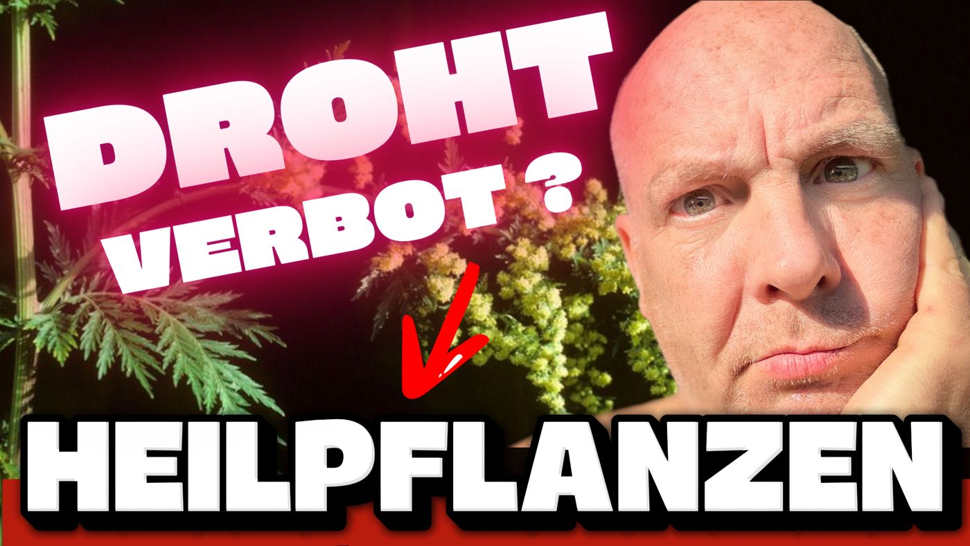 Titelbild mit George Brasch neben verschiedenen Heilpflanzen und der Aufschrift „Droht Verbot? Heilpflanzen“. Das Motiv verweist auf mögliche Einschränkungen bei TCM, Heilpflanzen und Heilpilzen.