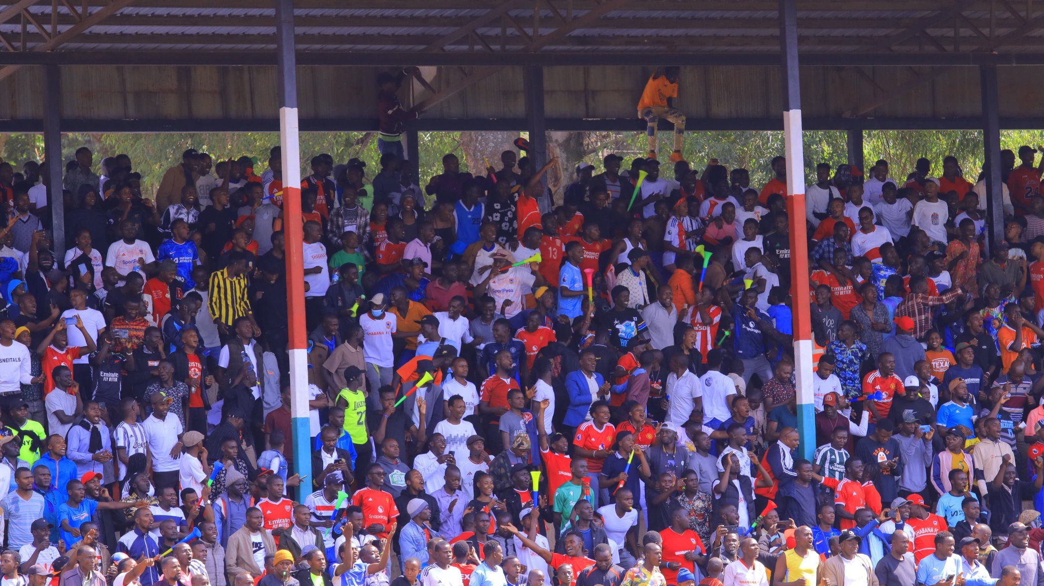 Shabana fans