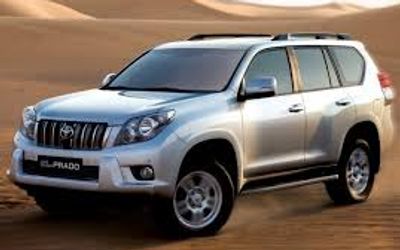 Toyota Prado TZ Parado