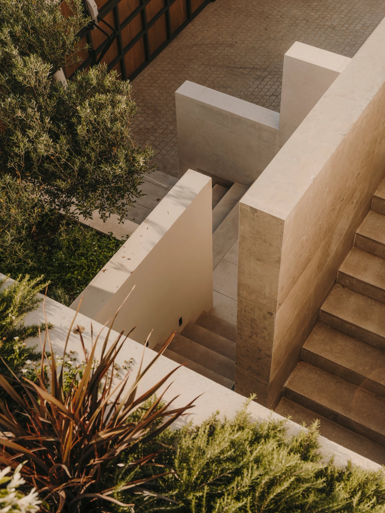 salvalopez_riutort_celestia_271