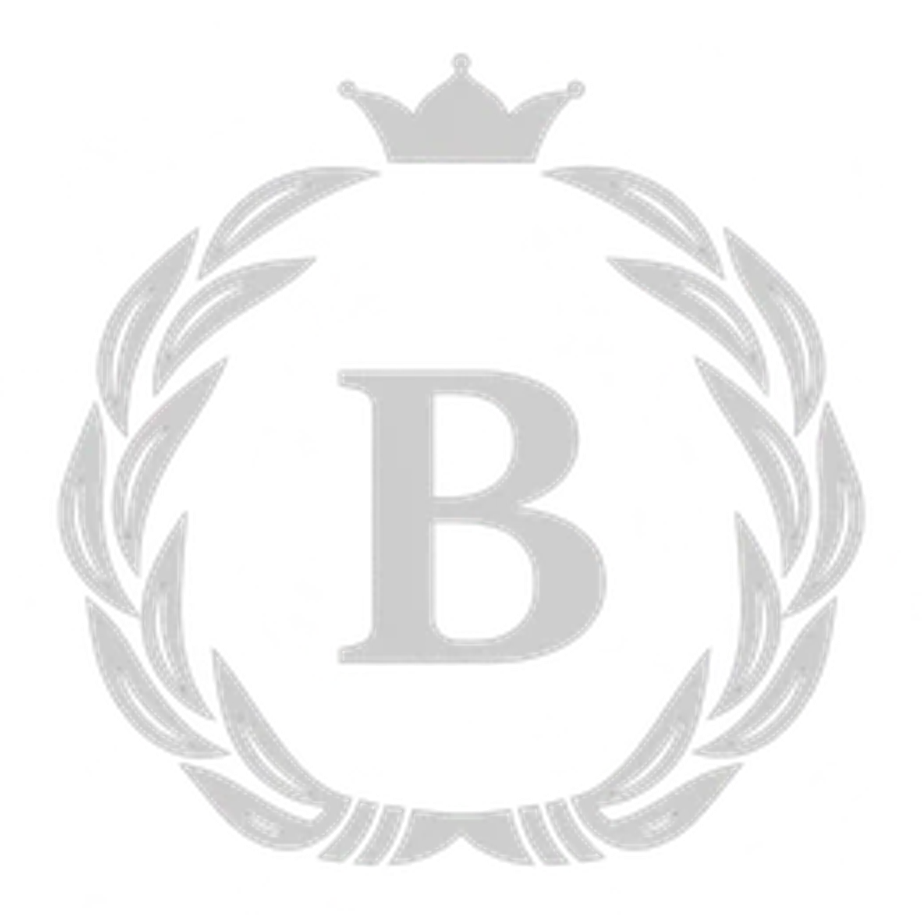 Betula Partners