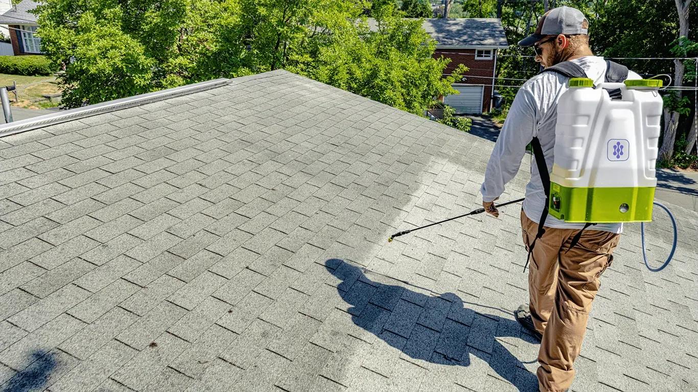 GoNano Roof