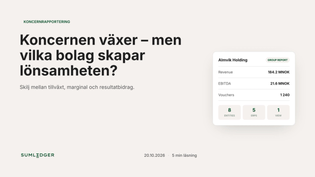 Koncernen växer – men vilka bolag skapar lönsamheten?