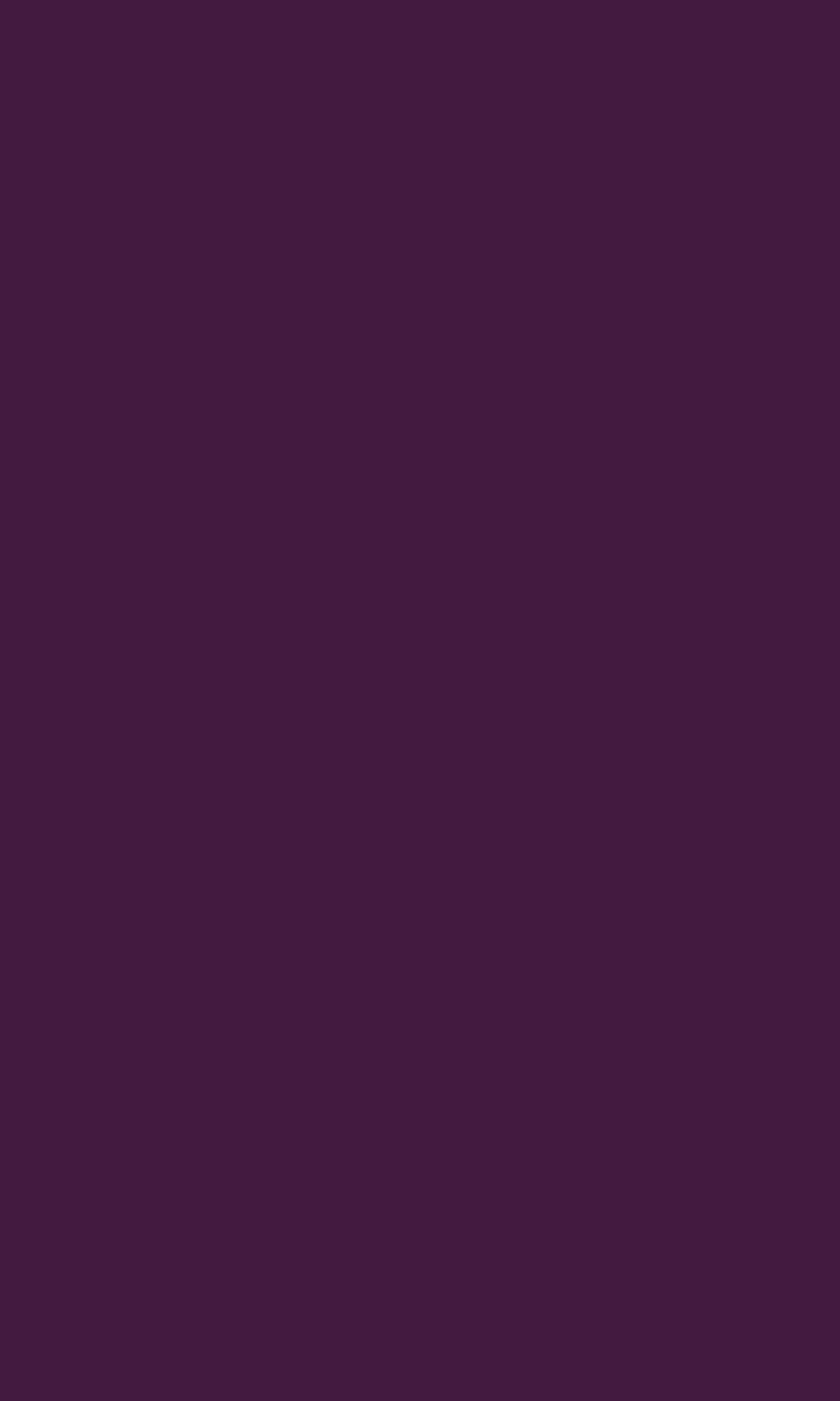 Stilay S493