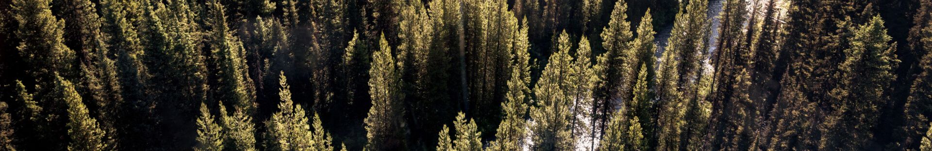 Sign up for stories & news hero