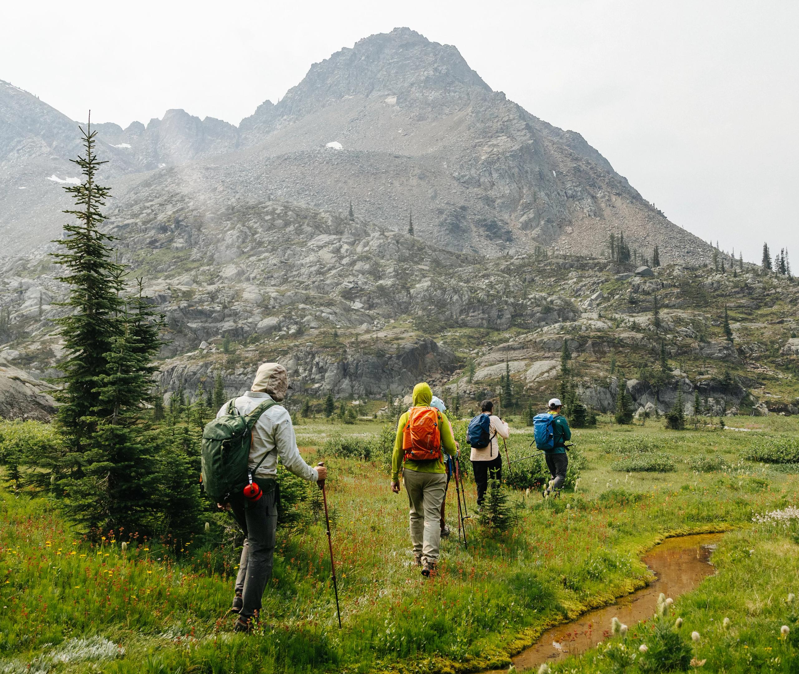 Four hikers with backpacks walk through a green meadow with a small stream, heading toward a rocky mountain under a cloudy sky.