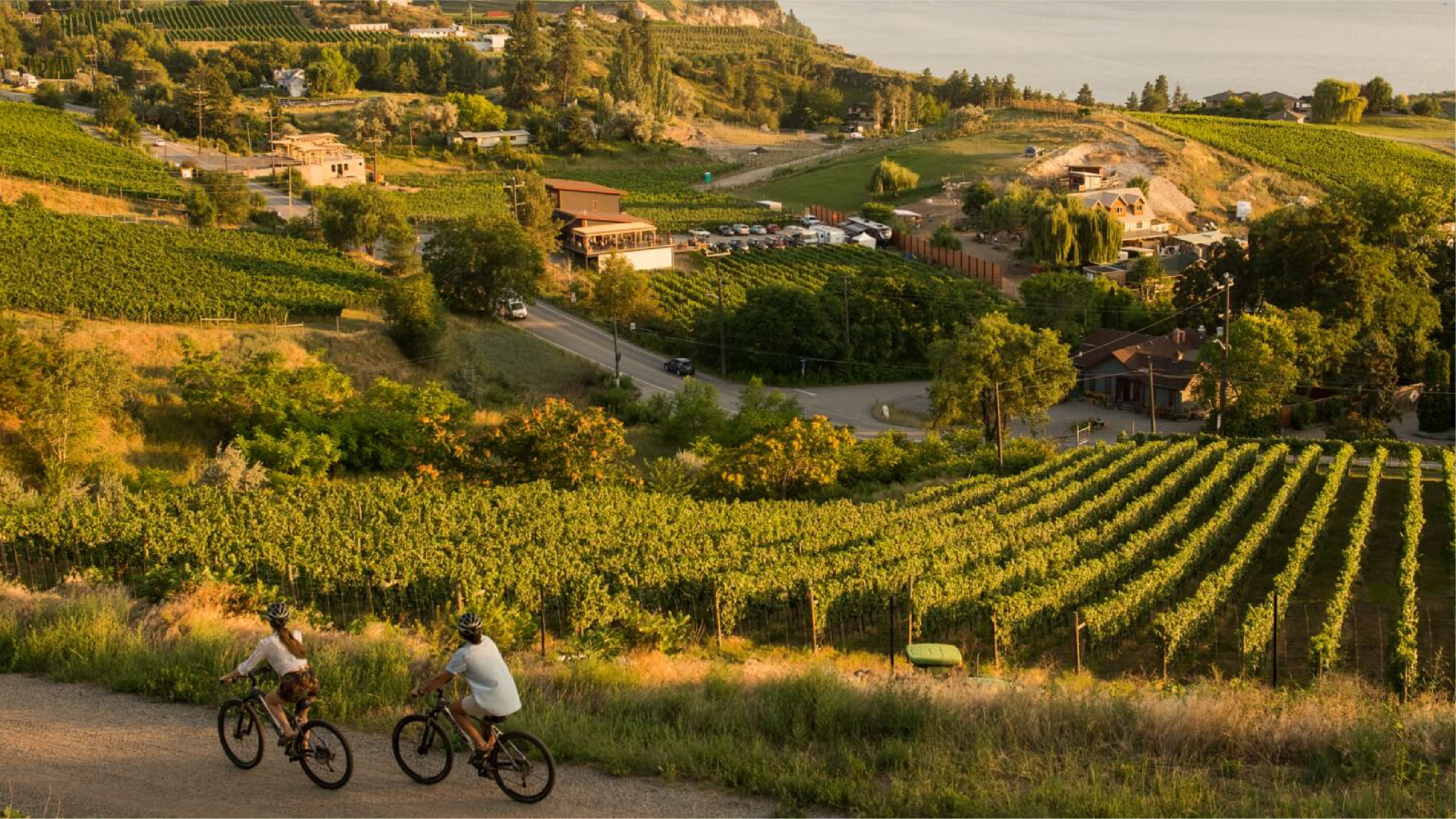 Two people ride on their bicycles through wine country.