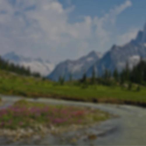 Biomimicry Workshop with Jamie Miller