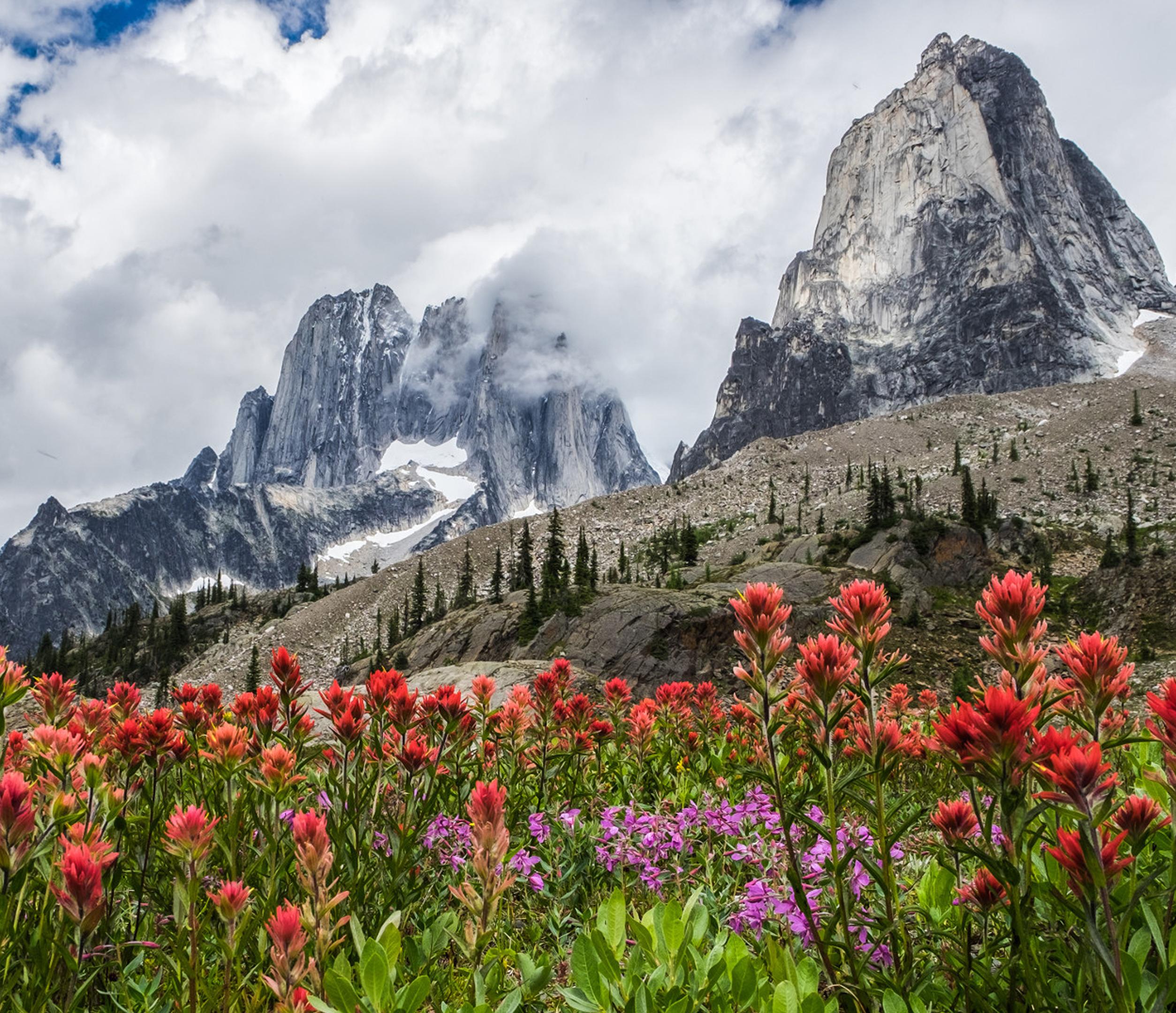 Bright red wildflowers bloom in the foreground of a rocky alpine valley, with dramatic jagged mountain peaks rising under a cloudy sky.