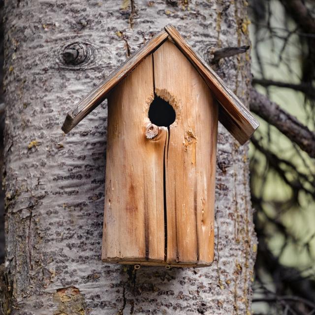 A wooden birdhouse on a tree