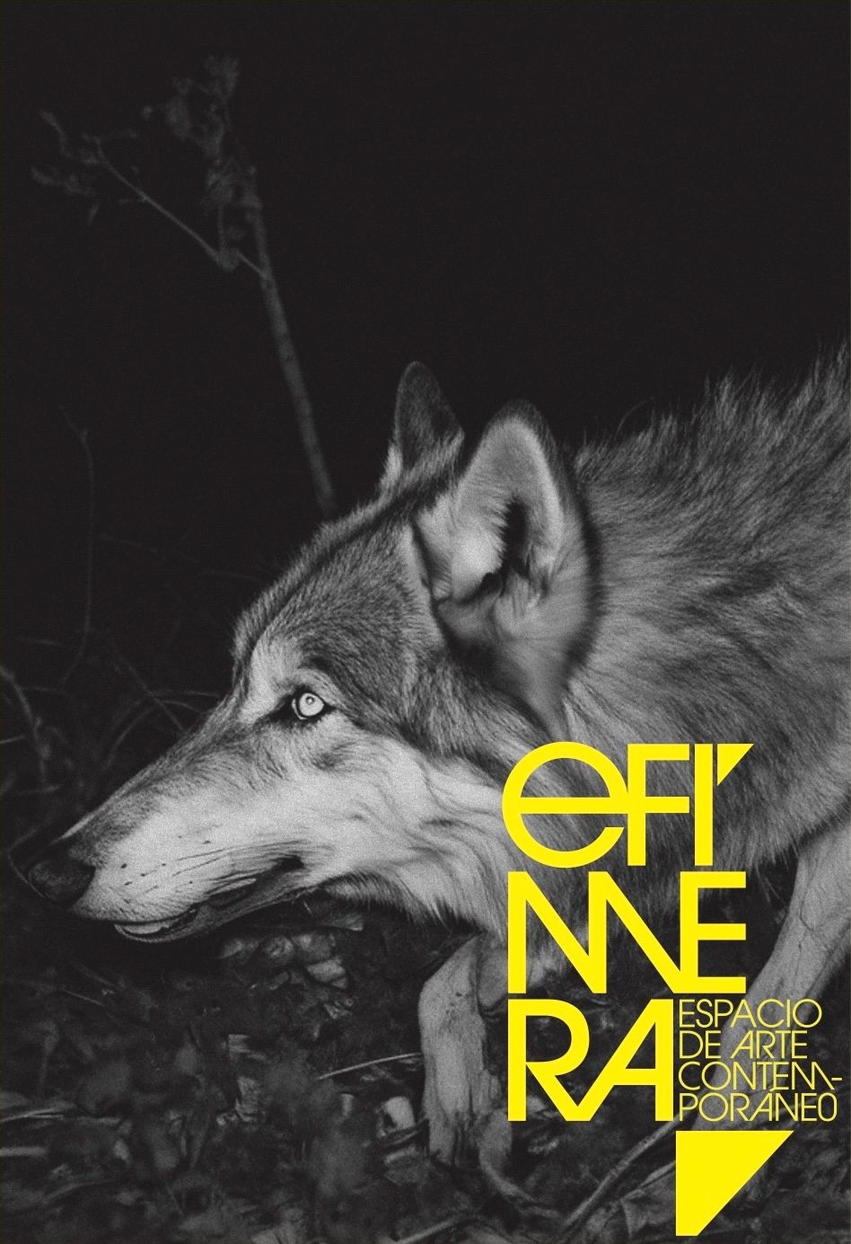 Programación Efímera EN-AB 2026