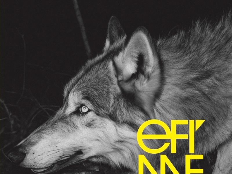 Programación Efímera EN-AB 2026