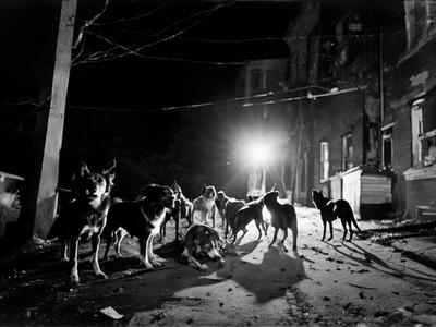 Alfonso García-Villalba