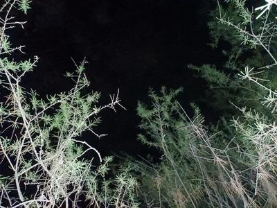 Alfonso García-Villalba