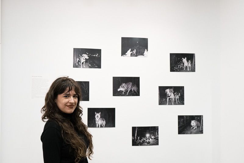 Ficciones de lo real. Exposición de  Ana Robles, José Coy y Marc Mateos Monteagudo