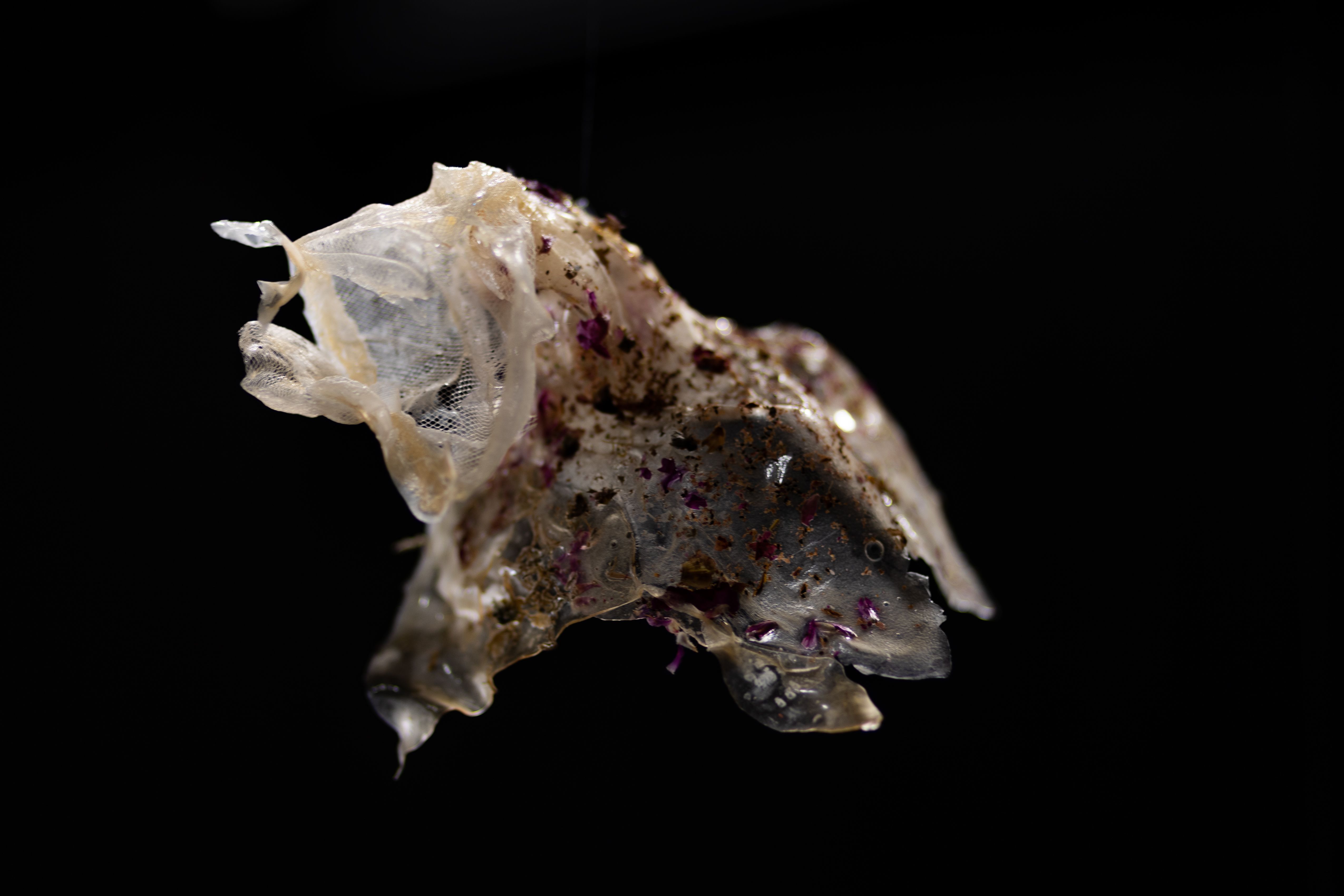 Entrevista a Buj Studio