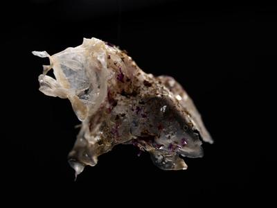 Entrevista a Buj Studio