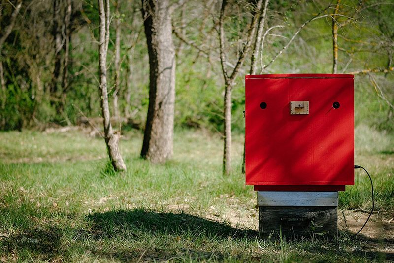 Entrevista a Felix Blume