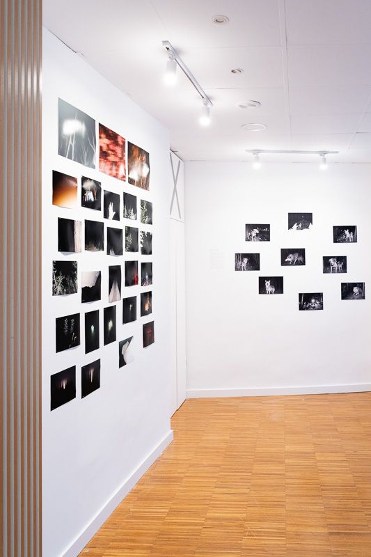 Ficciones de lo real. Exposición de  Ana Robles, José Coy y Marc Mateos Monteagudo