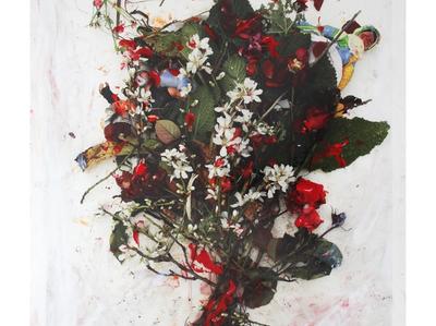 De raíz virtual. Susana Pardo