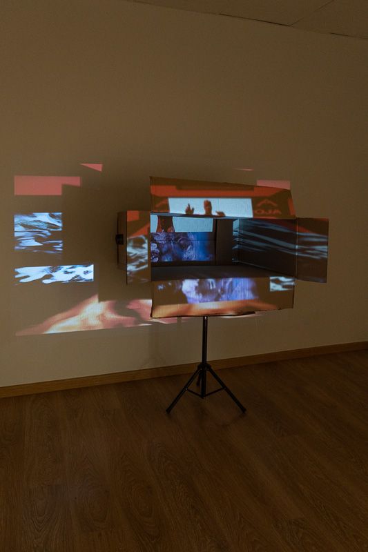 De raíz virtual. Exposición de Manuel Granados