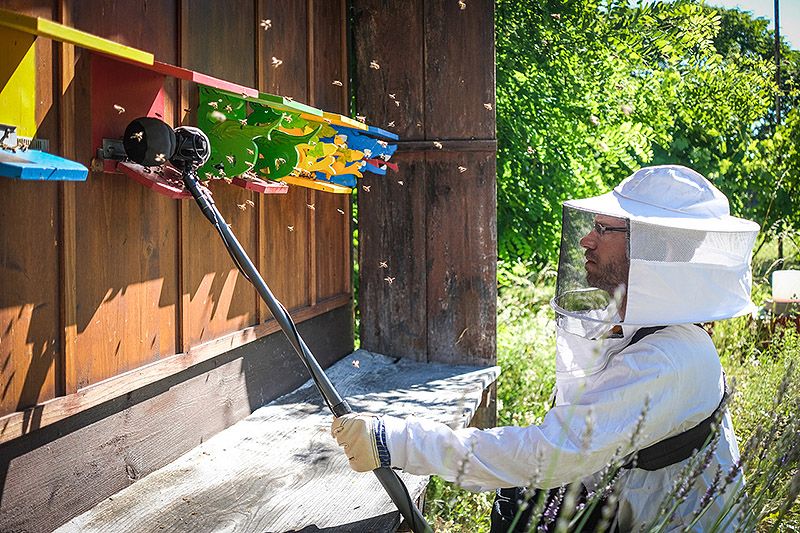 Entrevista a Felix Blume