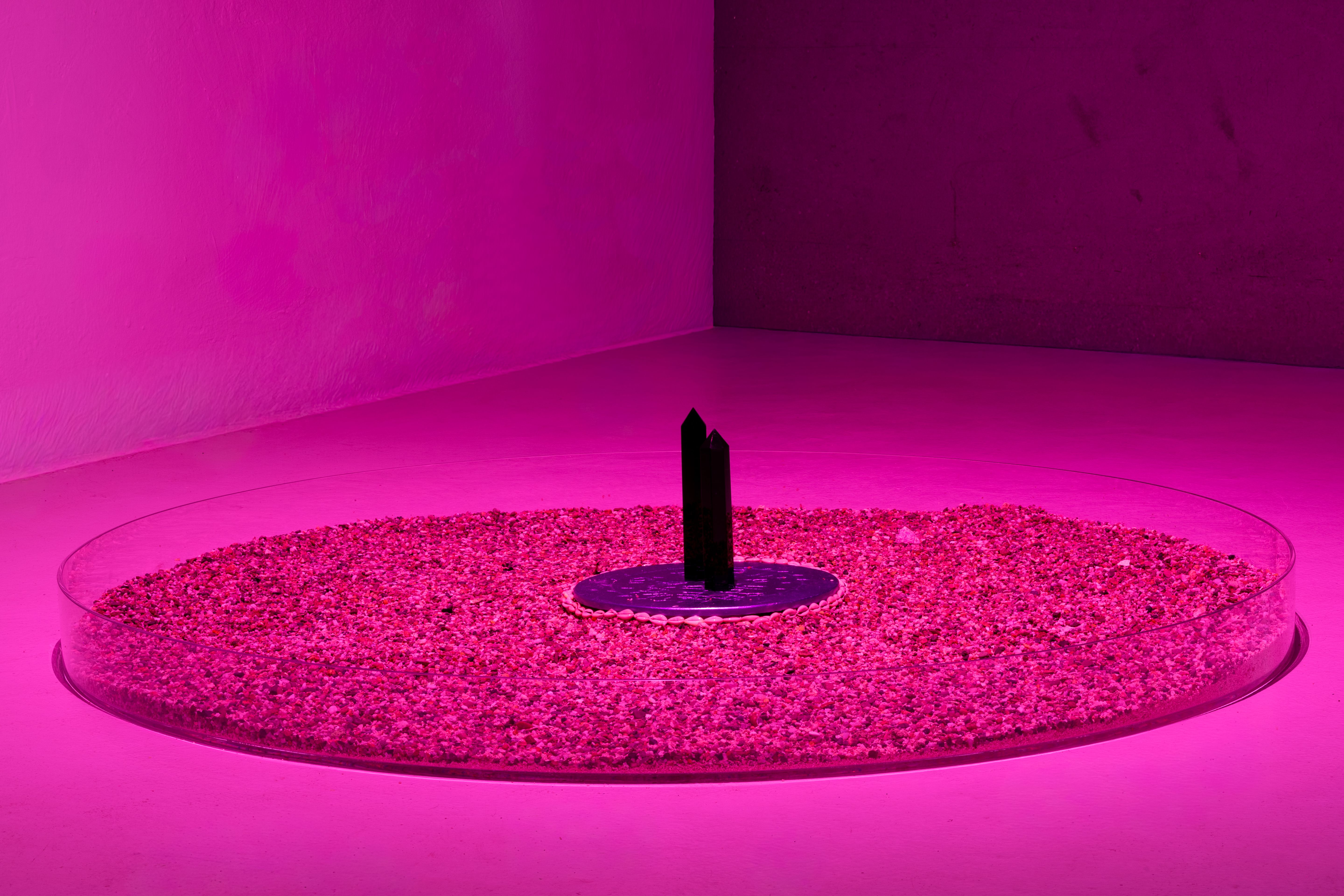 Paulo Arraiano. Unless the Water is Safer than the Land