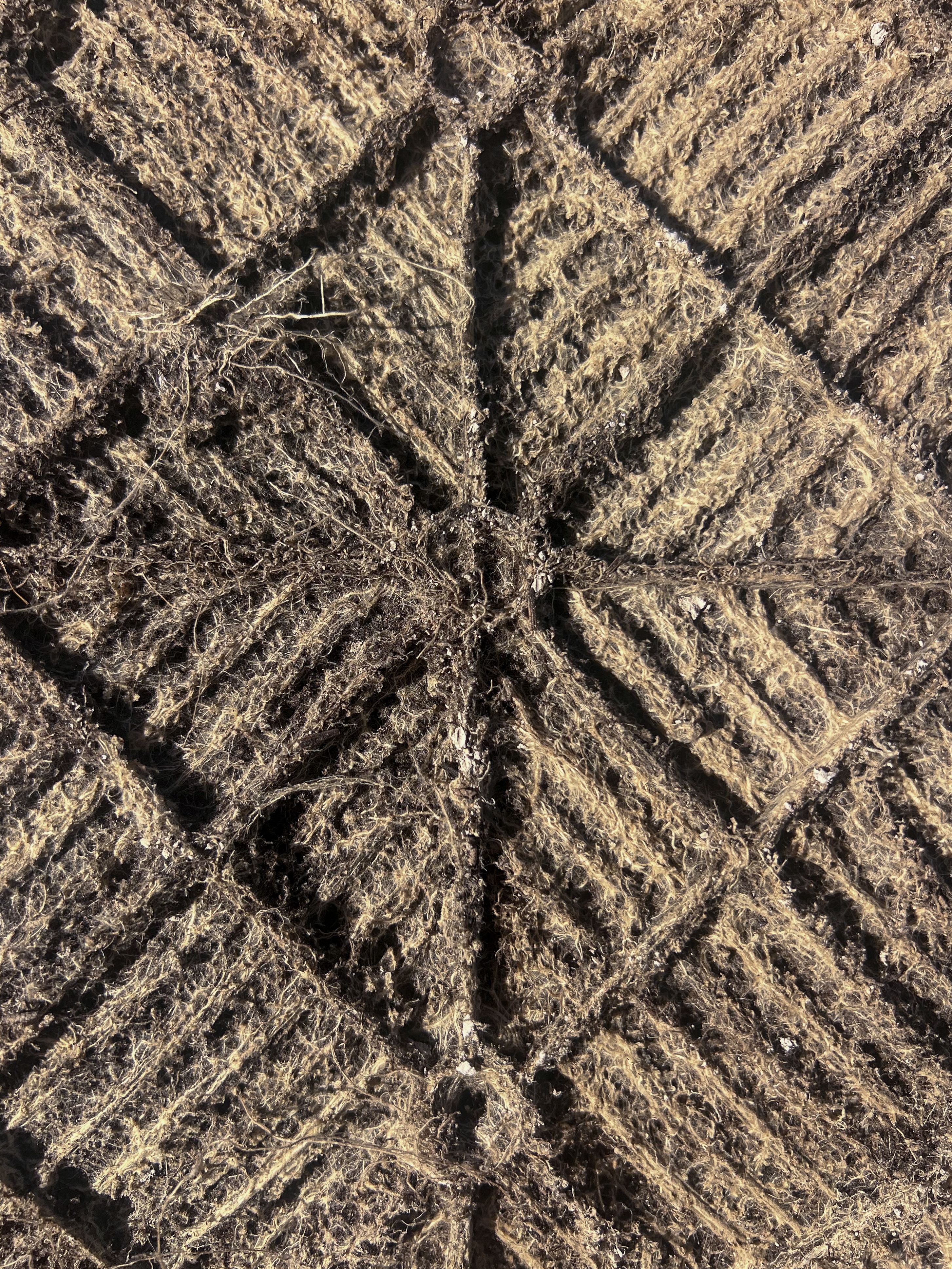 Isabel Nuñez Malakagama