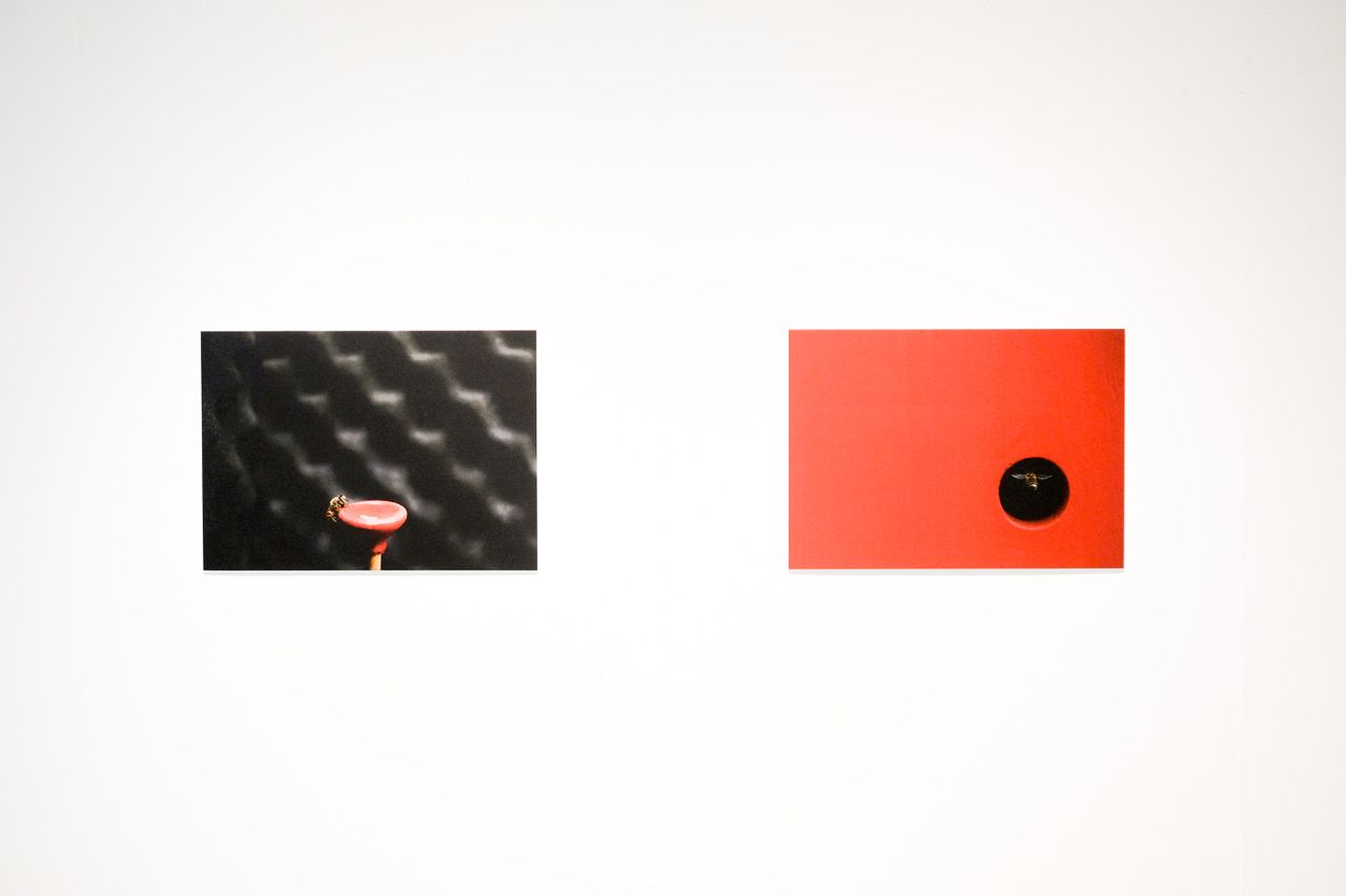 Felix Blume. Enjambre (Essaim) 