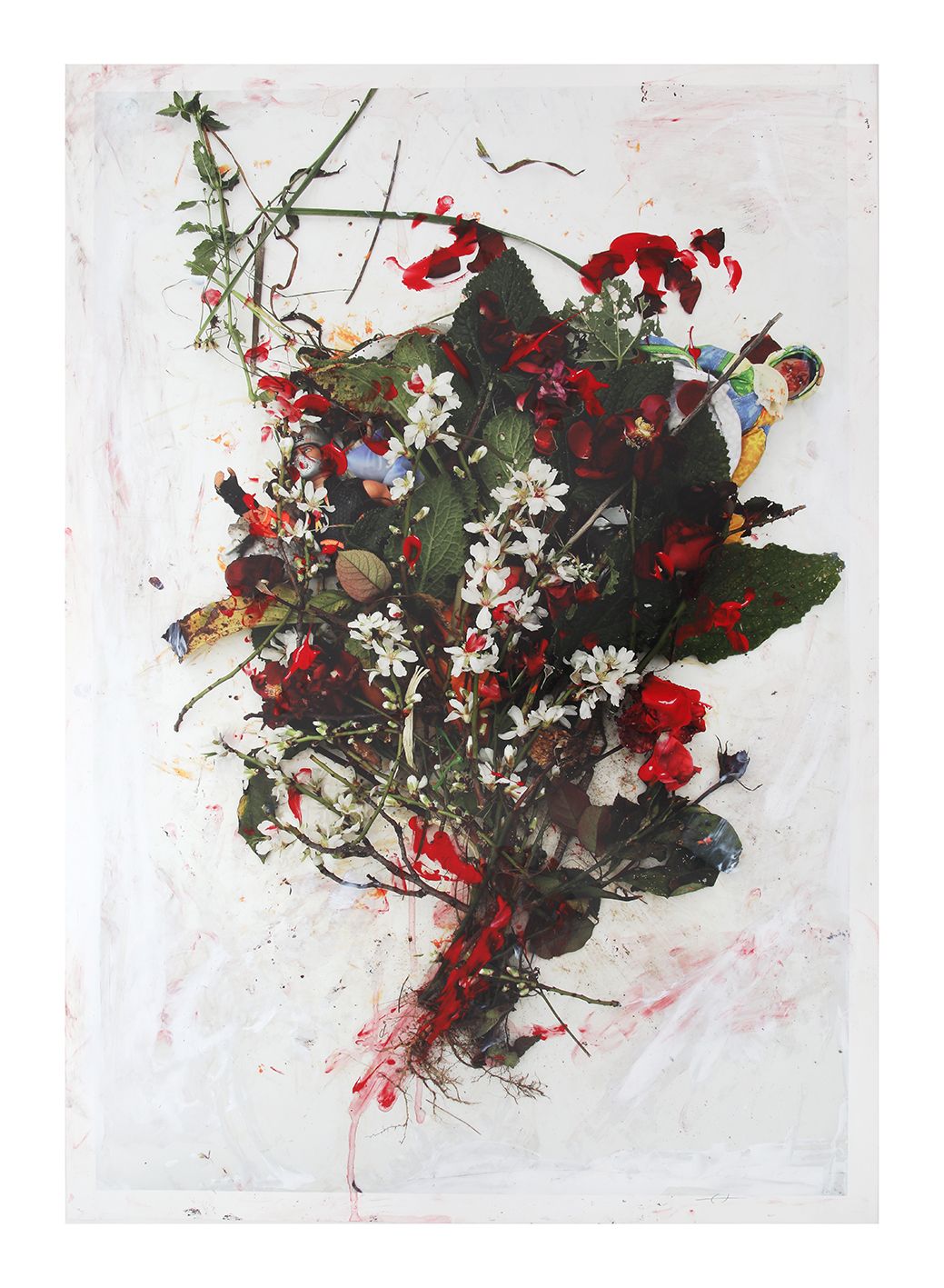 De raíz virtual. Susana Pardo