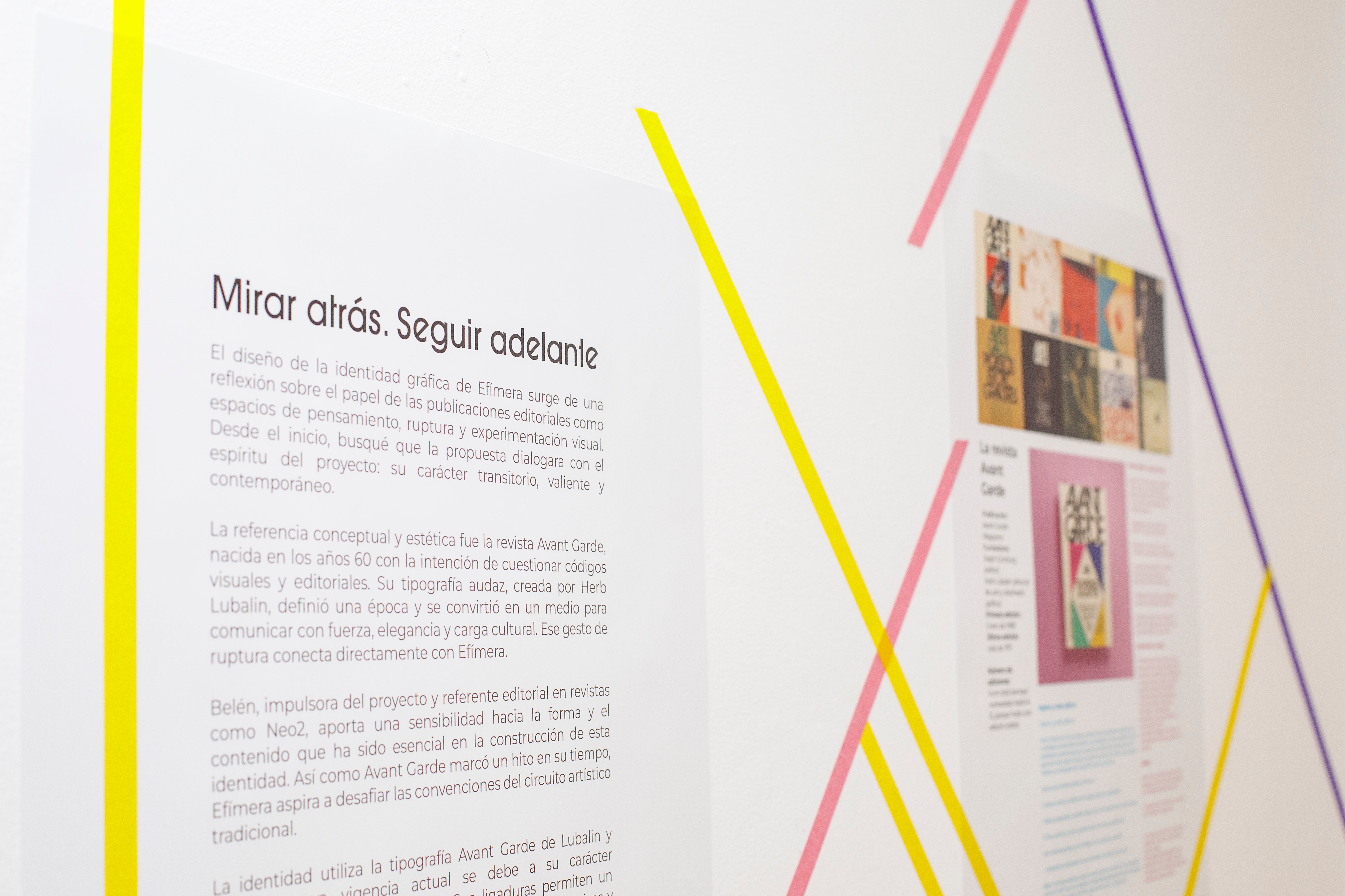 Mirar atrás, seguir adelante. Diego Lizán