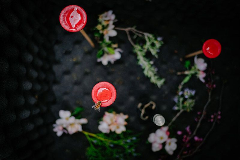 Entrevista a Felix Blume