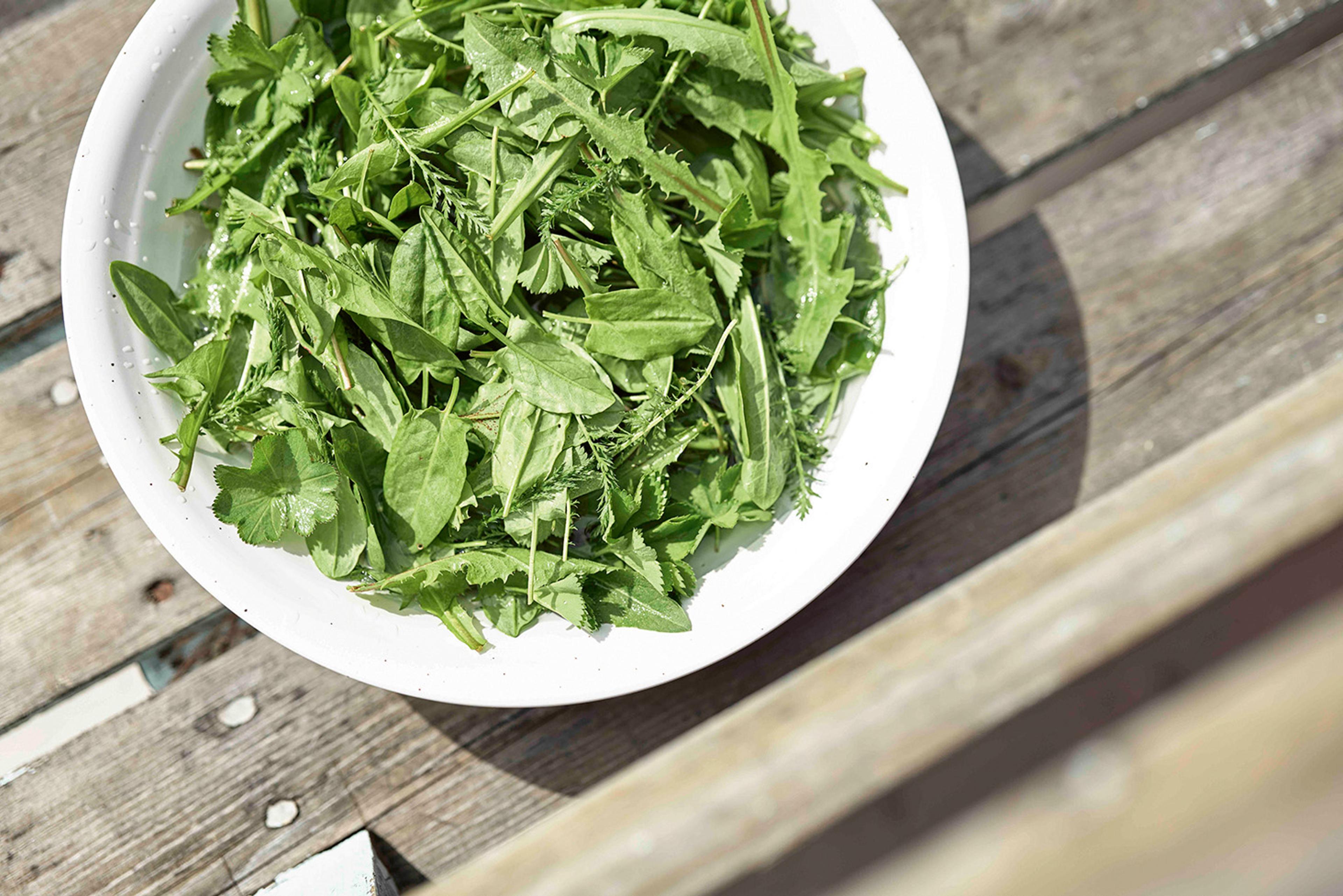 Vit skål fylld med vilda gröna blad på ett träbord