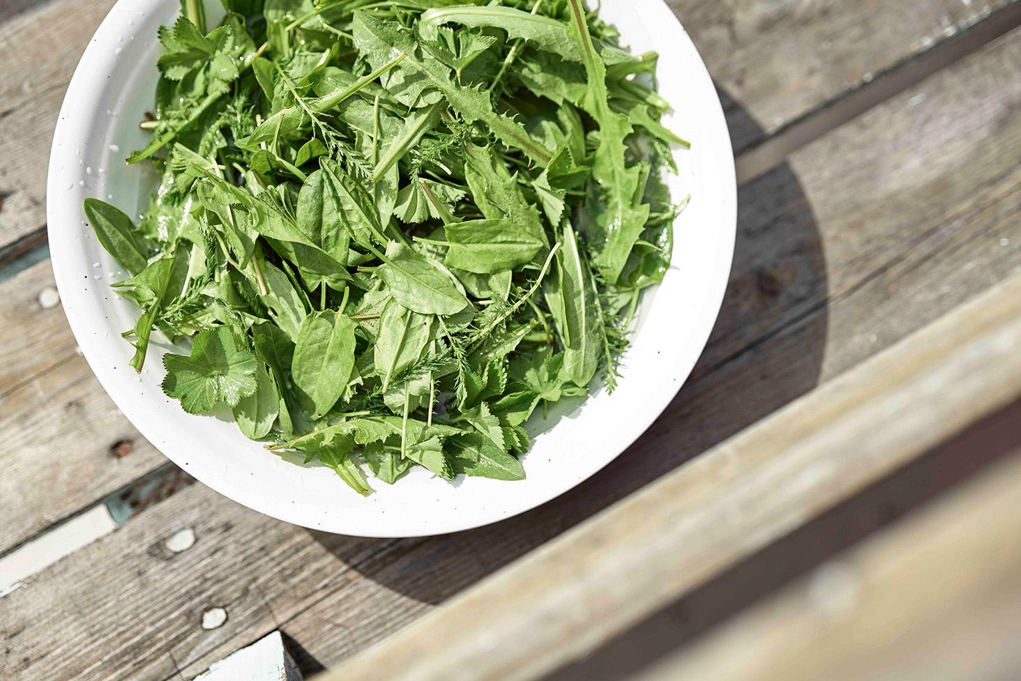 Vit skål fylld med vilda gröna blad på ett träbord