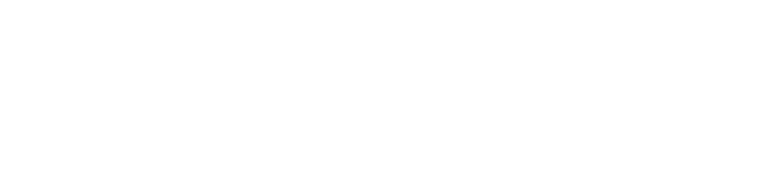 Direktoratet for romvirksomhet logo