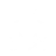 Procesos & Estructura