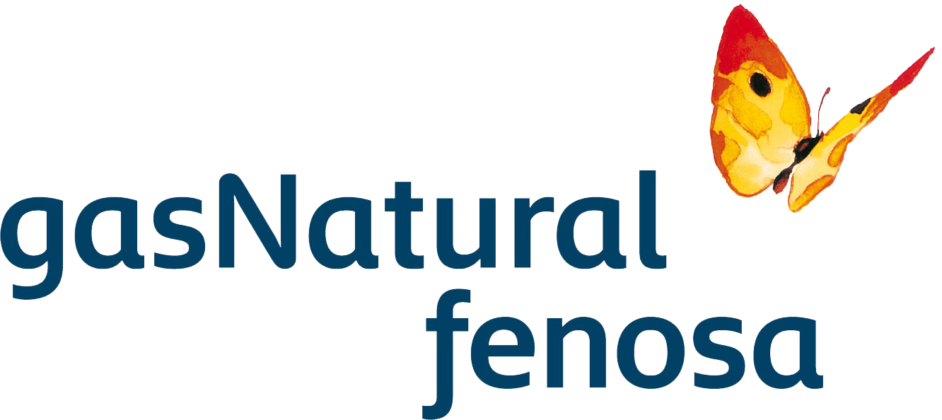 GAS NATURAL