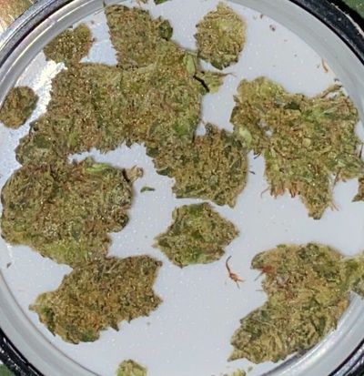 blog-image-Product Review: Vertical's Cold Creek Kush