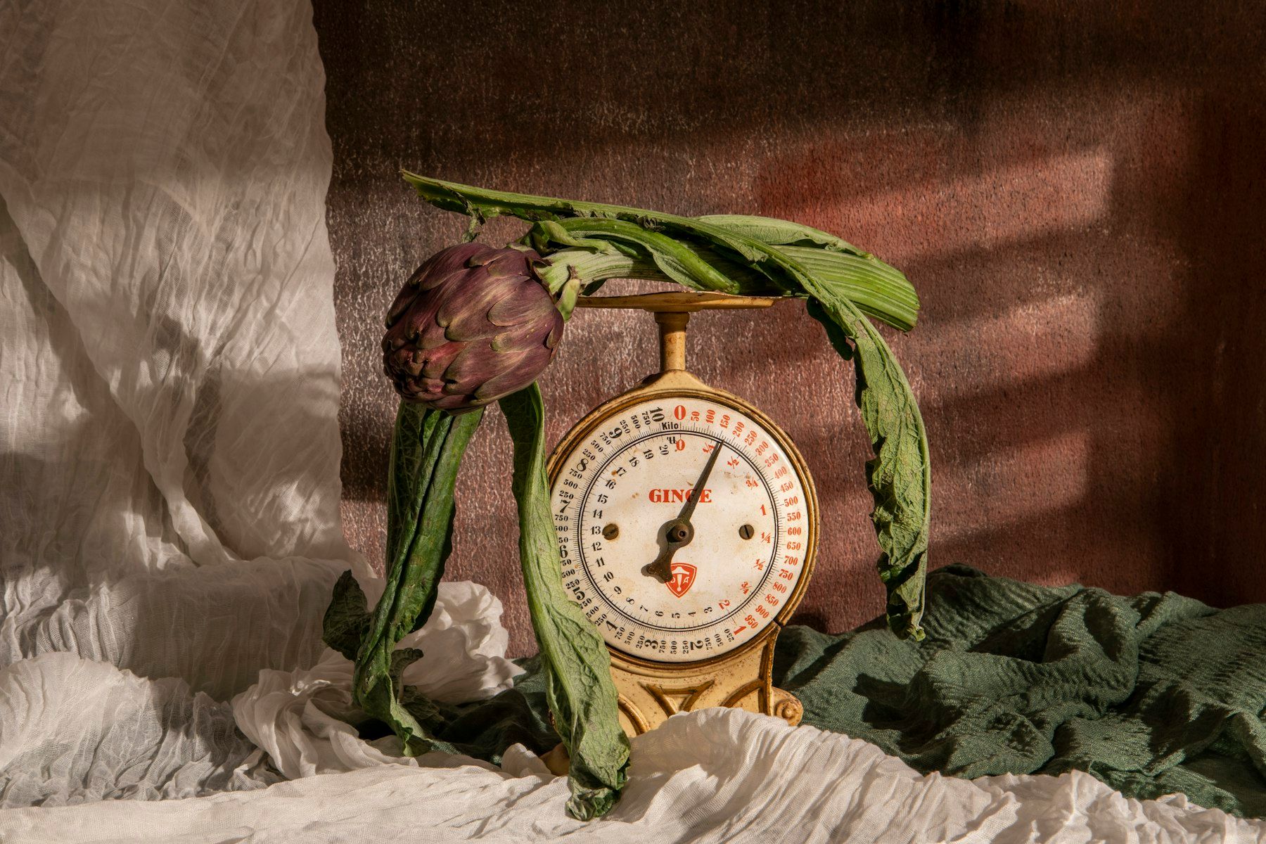 Artichoke rests on a scale surrounded by leaves