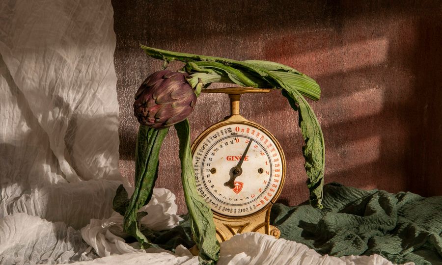 Artichoke rests on a scale surrounded by leaves