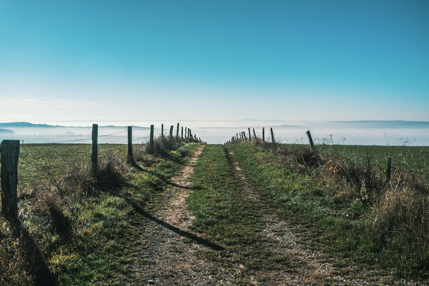 A river running through a grassy field