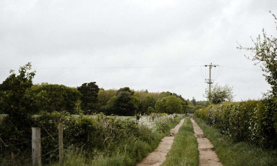 Green trees beside brown dirt road during daytime