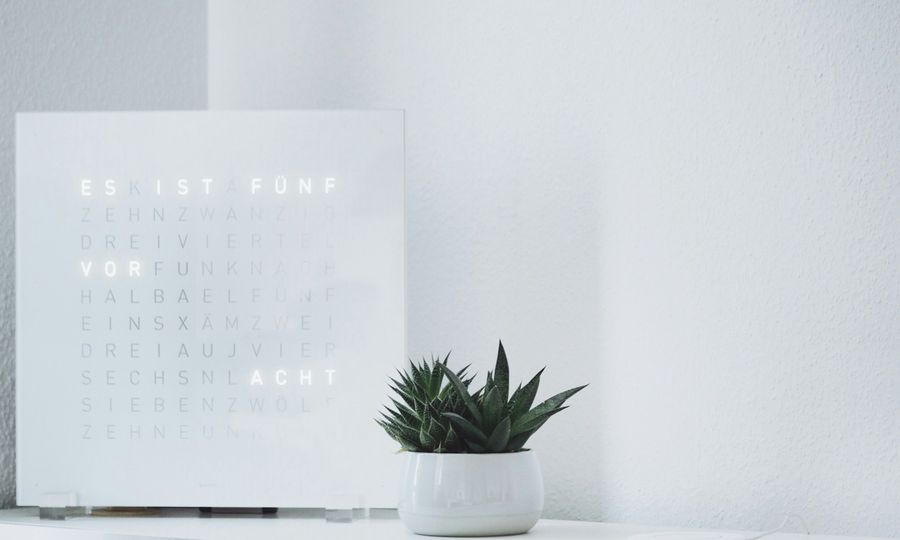 Green succulent plant on white sideboard