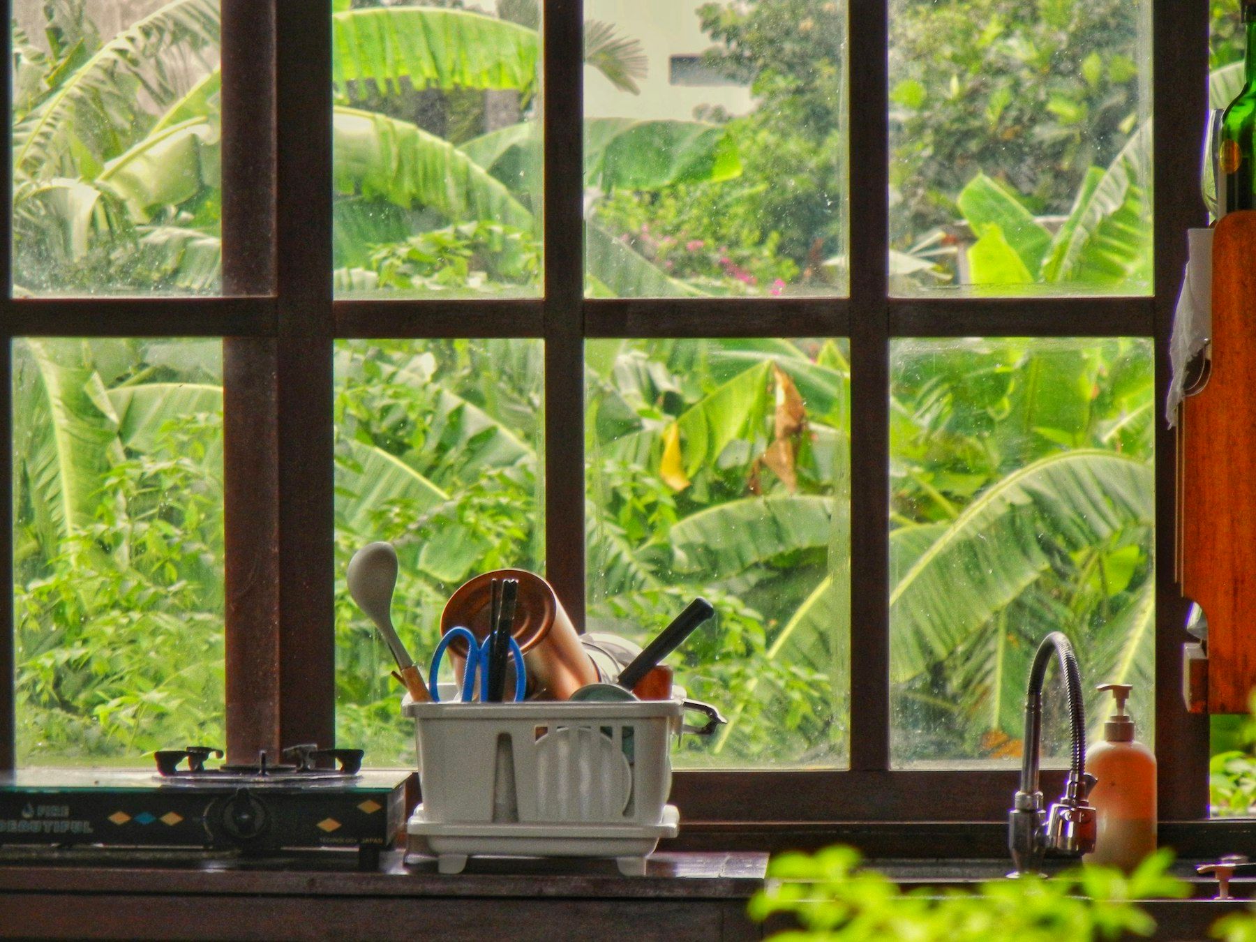 A dish rack with kitchen utensils in front of a window overlooking banana trees