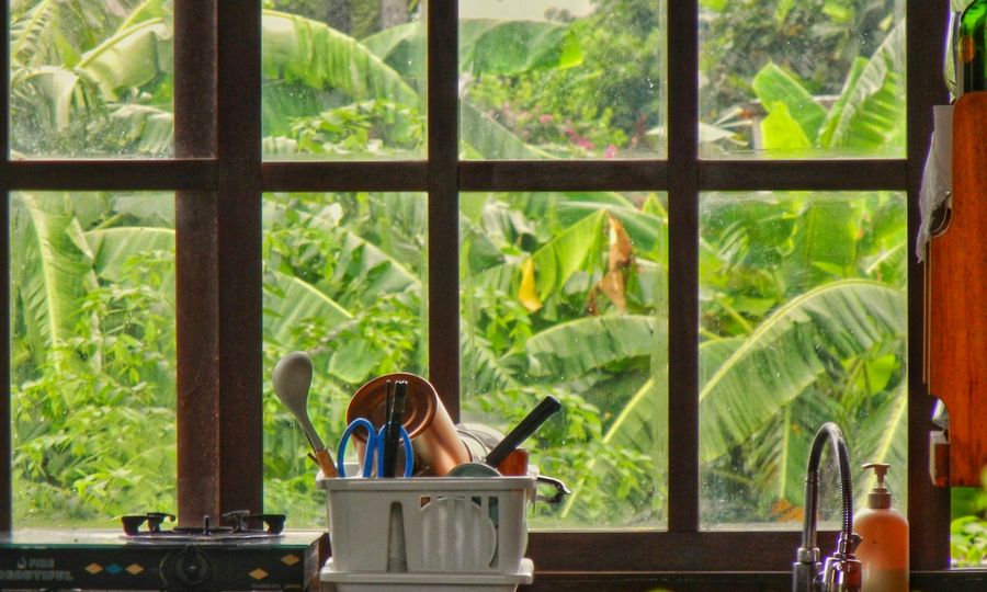A dish rack with kitchen utensils in front of a window overlooking banana trees