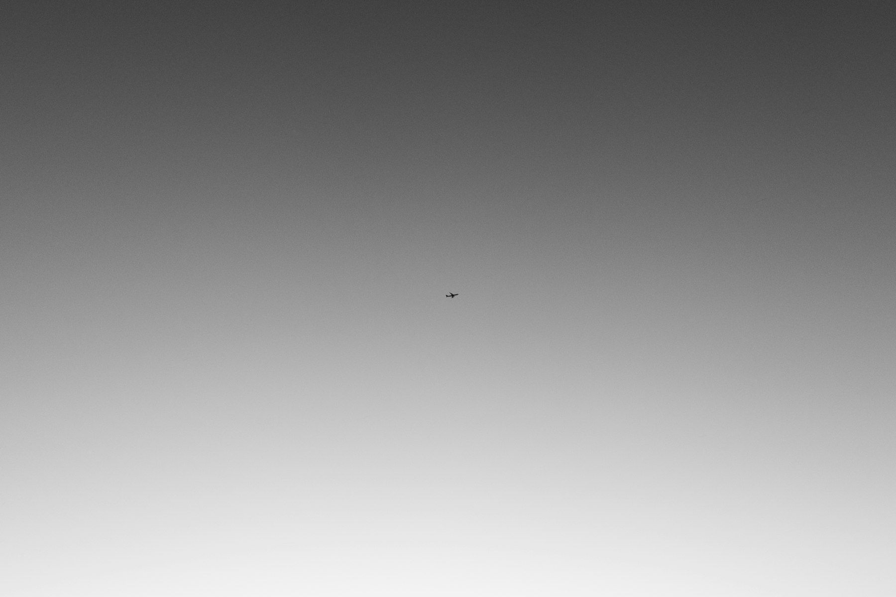 A black and white photo of a bird flying in the sky
